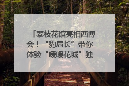 攀枝花馆亮相西博会！“豹局长”带你体验“暖暖花城”独特魅力｜西博视界