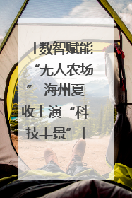数智赋能“无人农场” 海州夏收上演“科技丰景”
