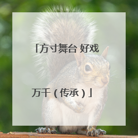方寸舞台 好戏万千（传承）