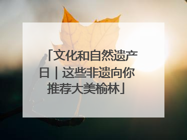 文化和自然遗产日｜这些非遗向你推荐大美榆林