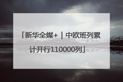 新华全媒+｜中欧班列累计开行110000列