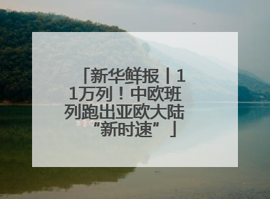 新华鲜报丨11万列！中欧班列跑出亚欧大陆“新时速”