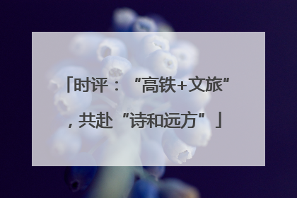 时评：“高铁+文旅”，共赴“诗和远方”