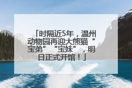 时隔近5年，温州动物园再迎大熊猫“宝弟”“宝妹”，明日正式开馆！