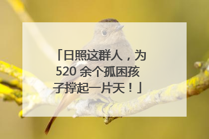 日照这群人，为 520 余个孤困孩子撑起一片天！