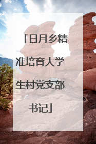 日月乡精准培育大学生村党支部书记
