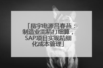 昆宇电源吕春燕：制造业需精打细算，SAP项目实现精细化成本管理