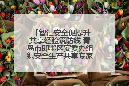 智汇安全促提升 共享经验筑防线 青岛市即墨区安委办组织安全生产共享专家现场观摩学习活动