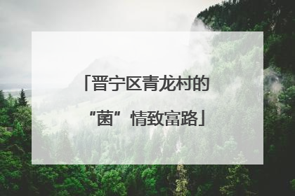 晋宁区青龙村的“菌”情致富路