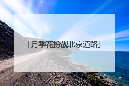 月季花扮靓北京道路