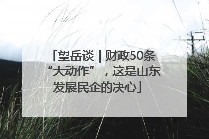 望岳谈｜财政50条“大动作”，这是山东发展民企的决心