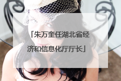 朱万奎任湖北省经济和信息化厅厅长
