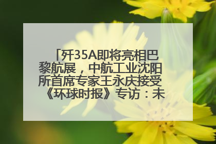 歼35A即将亮相巴黎航展，中航工业沈阳所首席专家王永庆接受《环球时报》专访：未来数量可以有很多