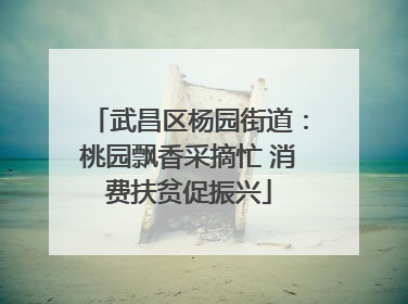 武昌区杨园街道：桃园飘香采摘忙 消费扶贫促振兴