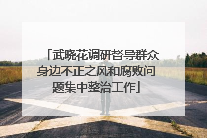 武晓花调研督导群众身边不正之风和腐败问题集中整治工作