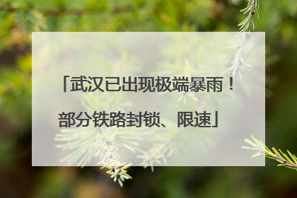 武汉已出现极端暴雨！部分铁路封锁、限速