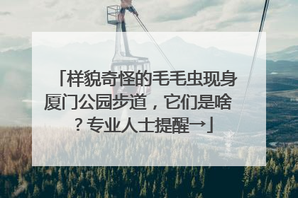 样貌奇怪的毛毛虫现身厦门公园步道，它们是啥？专业人士提醒→