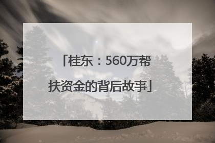 桂东：560万帮扶资金的背后故事