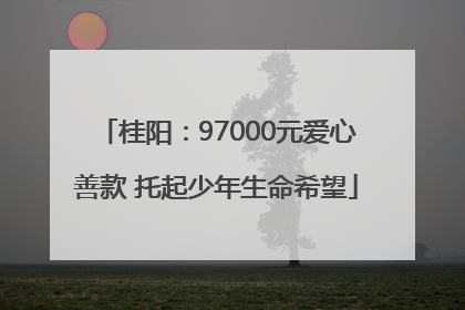 桂阳：97000元爱心善款 托起少年生命希望