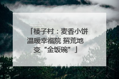 楼子村：麦香小饼温暖幸福院 撂荒地变“金饭碗”
