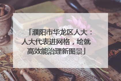 濮阳市华龙区人大：人大代表进网格，绘就高效能治理新图景