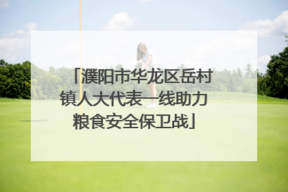 濮阳市华龙区岳村镇人大代表一线助力粮食安全保卫战