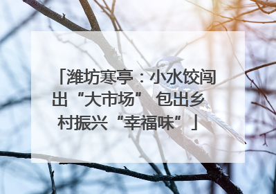 潍坊寒亭：小水饺闯出“大市场” 包出乡村振兴“幸福味”