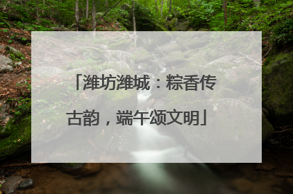 潍坊潍城：粽香传古韵，端午颂文明