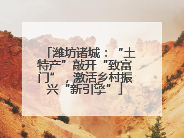 潍坊诸城：“土特产”敲开“致富门”，激活乡村振兴“新引擎”