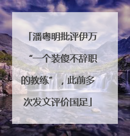 潘粤明批评伊万“一个装傻不辞职的教练”，此前多次发文评价国足