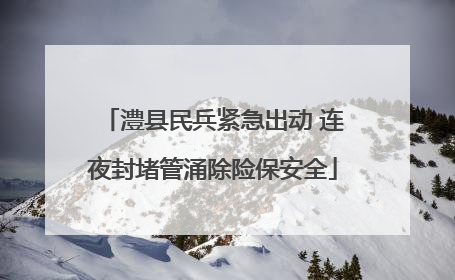 澧县民兵紧急出动 连夜封堵管涌除险保安全