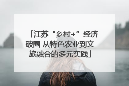 江苏“乡村+”经济破圈 从特色农业到文旅融合的多元实践