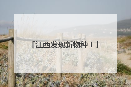 江西发现新物种！