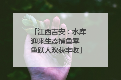 江西吉安：水库迎来生态捕鱼季 鱼跃人欢获丰收