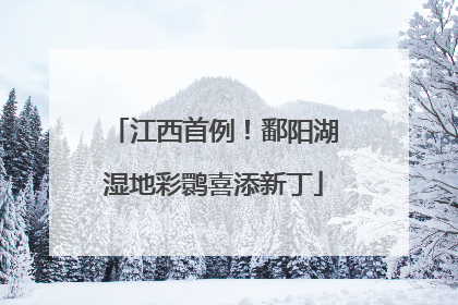 江西首例！鄱阳湖湿地彩鹮喜添新丁