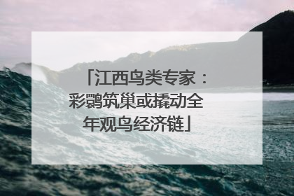 江西鸟类专家：彩鹮筑巢或撬动全年观鸟经济链