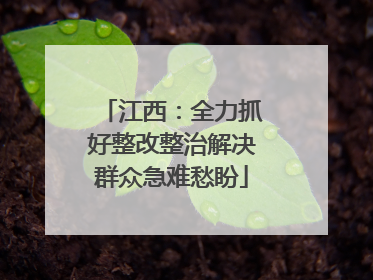 江西：全力抓好整改整治解决群众急难愁盼