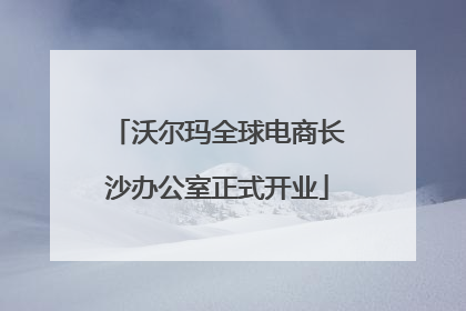 沃尔玛全球电商长沙办公室正式开业
