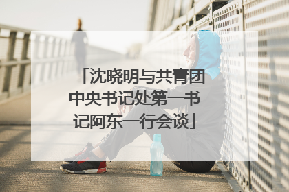 沈晓明与共青团中央书记处第一书记阿东一行会谈