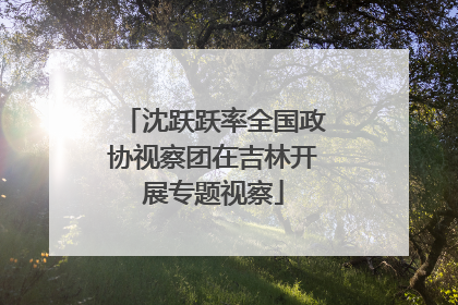 沈跃跃率全国政协视察团在吉林开展专题视察