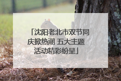 沈阳老北市双节同庆掀热潮 五大主题活动精彩纷呈
