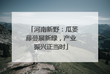 河南新野：瓜蒌藤蔓展新绿，产业振兴正当时