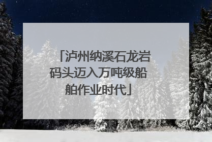 泸州纳溪石龙岩码头迈入万吨级船舶作业时代