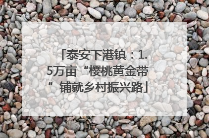 泰安下港镇：1.5万亩“樱桃黄金带”铺就乡村振兴路