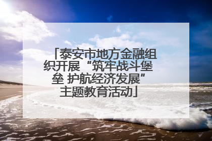 泰安市地方金融组织开展“筑牢战斗堡垒 护航经济发展”主题教育活动