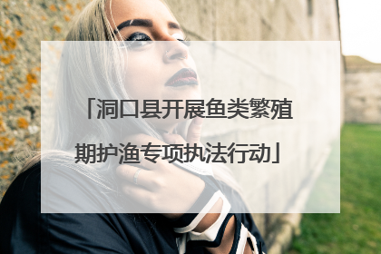 洞口县开展鱼类繁殖期护渔专项执法行动