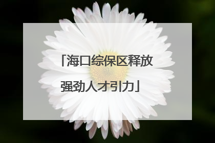 海口综保区释放强劲人才引力