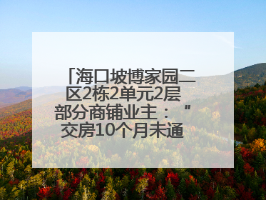 海口坡博家园二区2栋2单元2层部分商铺业主：“交房10个月未通自来水”