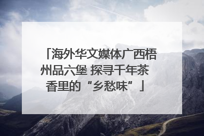 海外华文媒体广西梧州品六堡 探寻千年茶香里的“乡愁味”