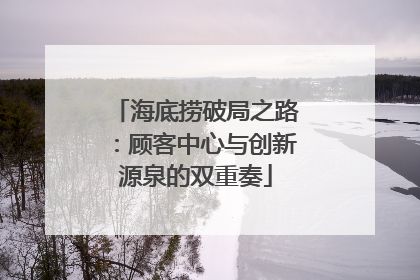 海底捞破局之路：顾客中心与创新源泉的双重奏